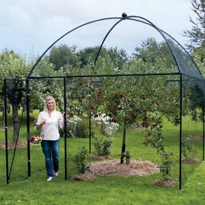 Dome Roof Steel Fruit Cage - Sphere Finial